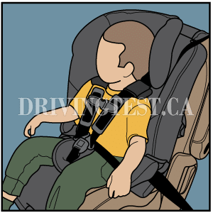 Test 7 - Where in the car is the safest place for an infant or child restraint system to be?