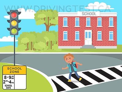 Test 3 - Who, besides children, are you legally obligated to stop for at school crosswalks?